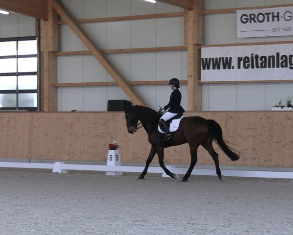 Reitturnier Hohen Wieschendorf 2025