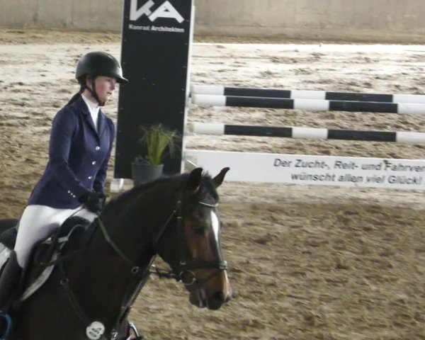 Reitturnier Diez 2025
