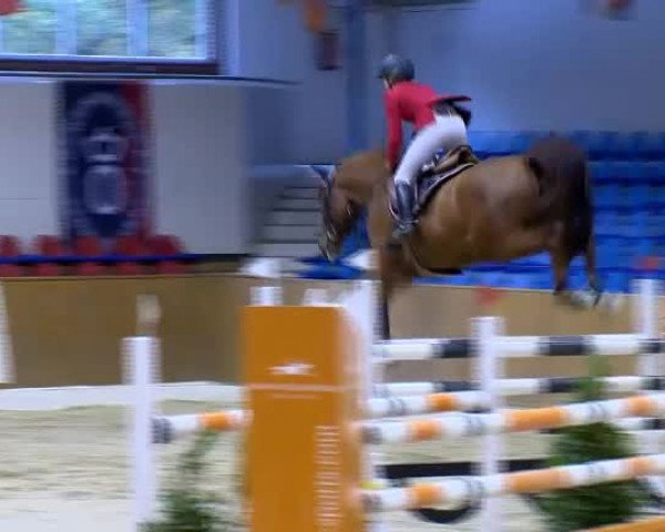 Reitturnier Vechta 2013