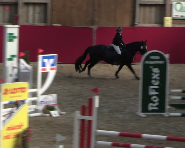 Reitturnier Krumke 2025