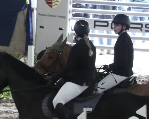 Reitturnier Diez 2025