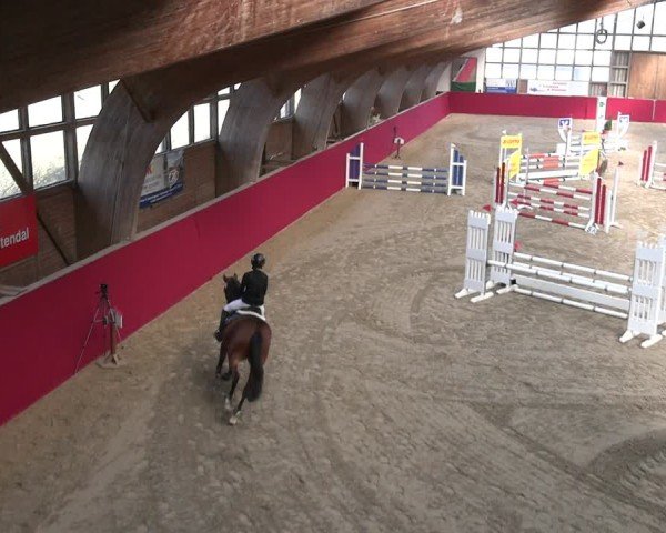 Reitturnier Krumke 2025