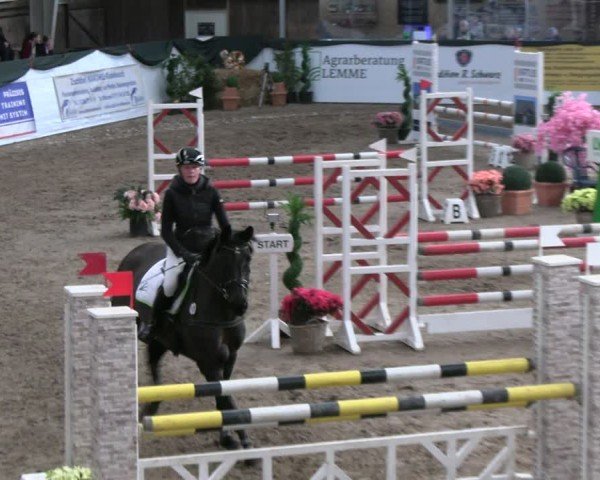 Reitturnier Timmendorf 2025