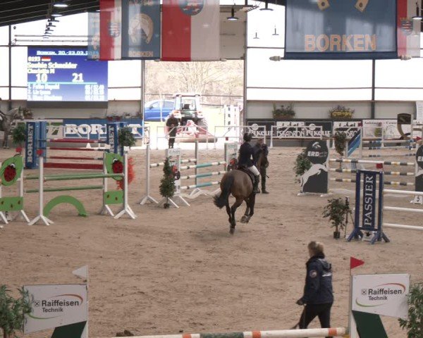 Reitturnier Borken (Hessen) 2025