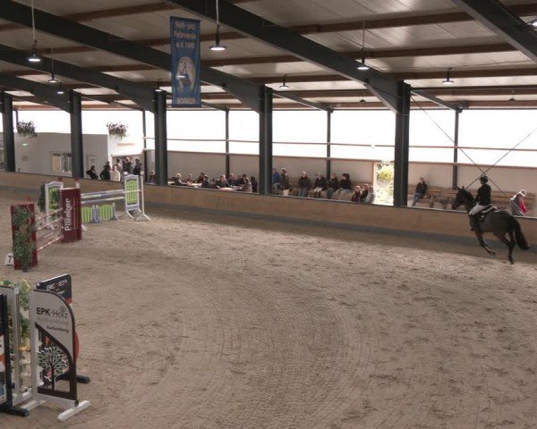 Reitturnier Borken (Hessen) 2025