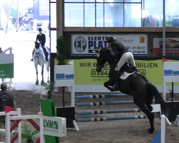 Reitturnier Timmendorf 2025