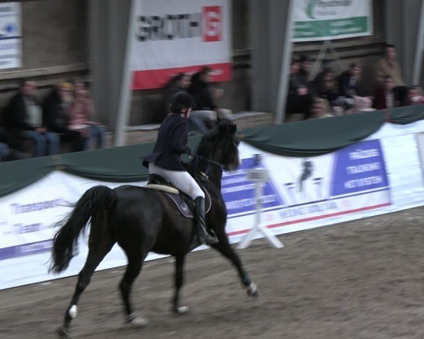 Reitturnier Timmendorf 2025