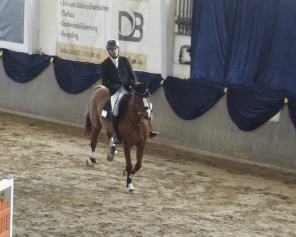Reitturnier Diez 2025