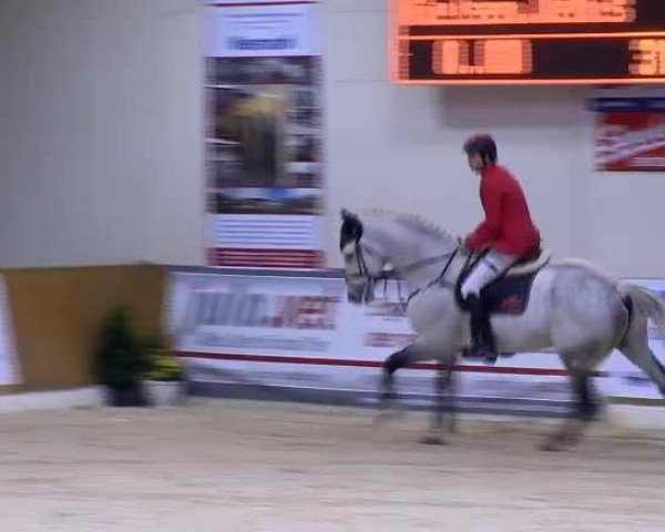 11. Hallen-Championat Vechta 2013