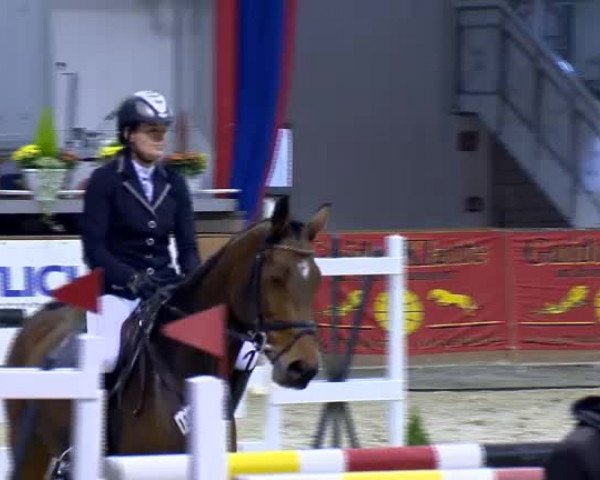 11. Hallen-Championat Vechta 2013