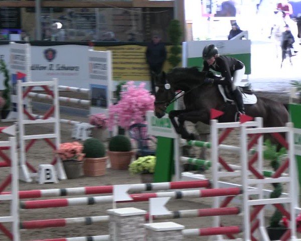 Reitturnier Timmendorf 2025