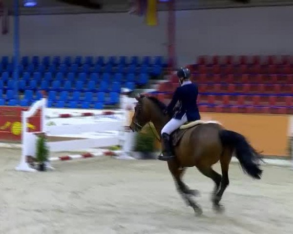 11. Hallen-Championat Vechta 2013