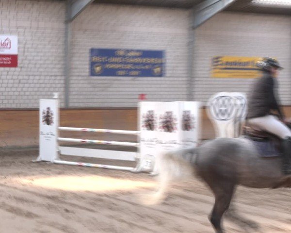 Reitturnier Vorsfelde 2025