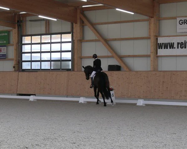 Reitturnier Hohen Wieschendorf 2025