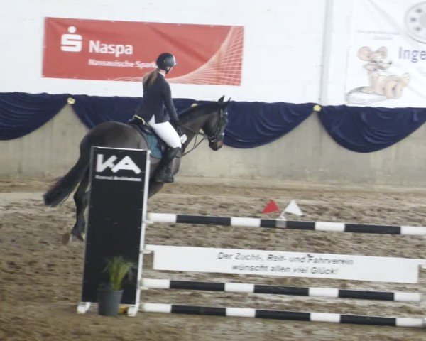 Reitturnier Diez 2025