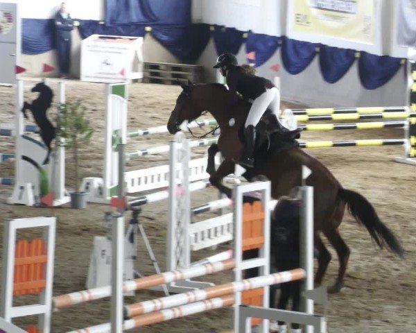 Reitturnier Diez 2025