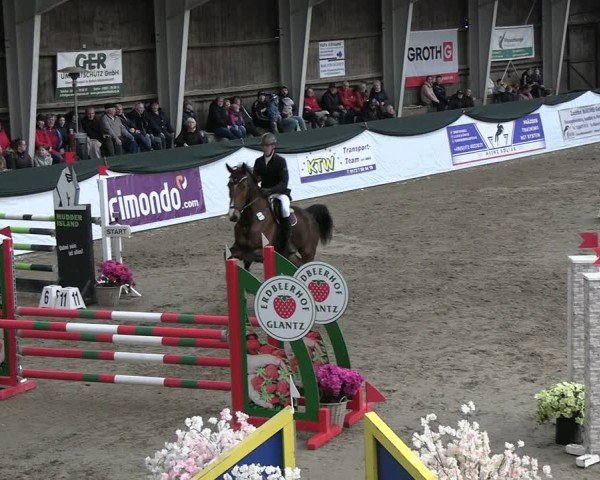 Reitturnier Timmendorf 2025