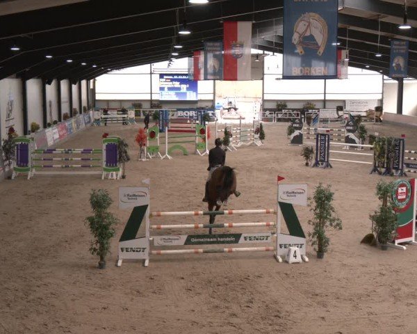 Reitturnier Borken (Hessen) 2025