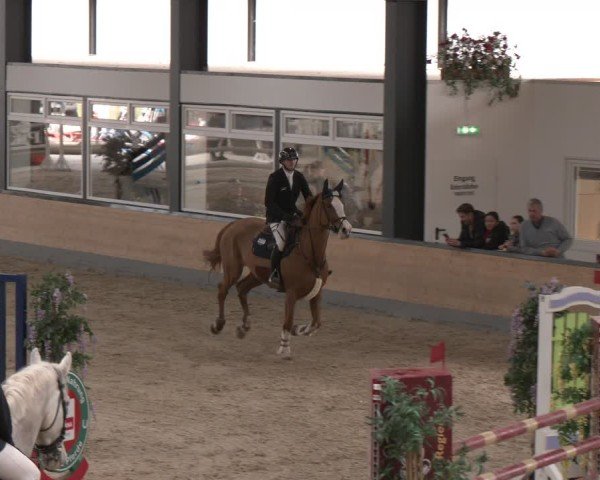 Reitturnier Borken (Hessen) 2025