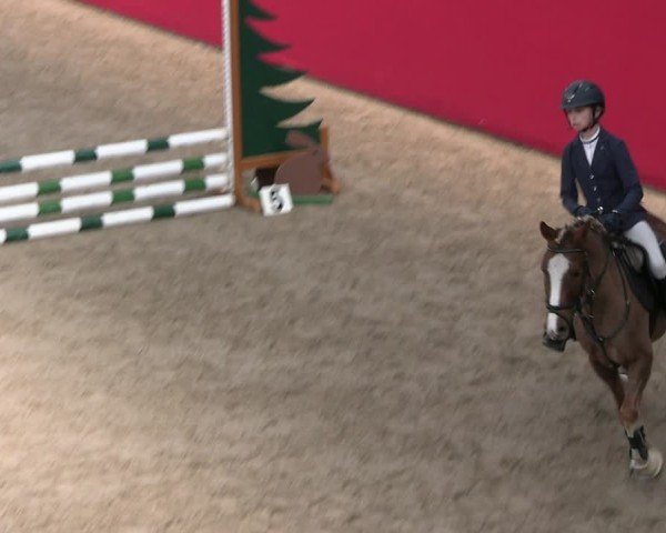 Reitturnier Krumke 2025