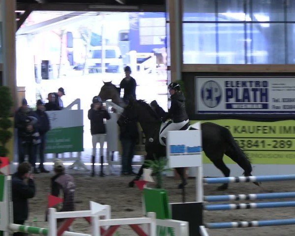Reitturnier Timmendorf 2025