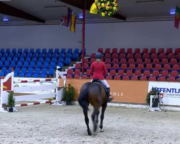 11. Hallen-Championat Vechta 2013