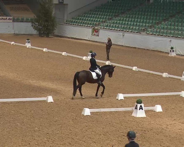 Reitturnier Kreuth 2025