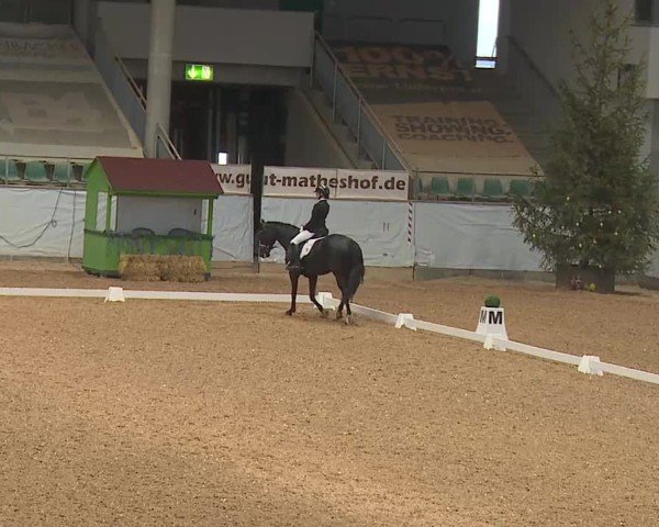 Reitturnier Kreuth 2025