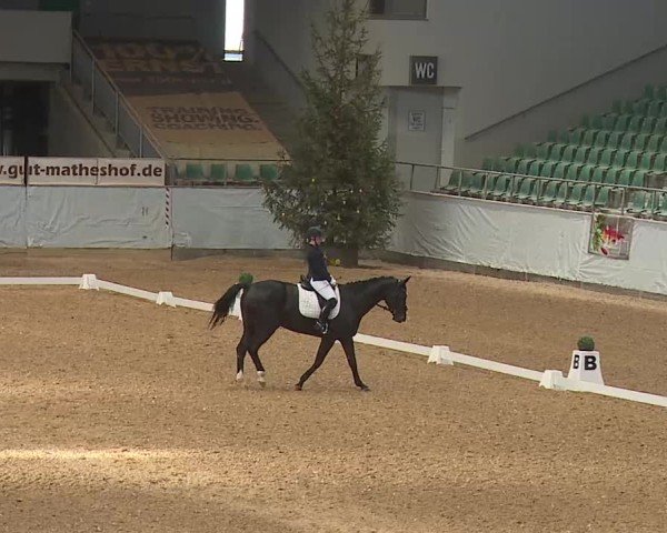 Reitturnier Kreuth 2025