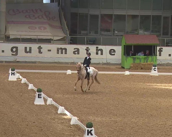 Reitturnier Kreuth 2025