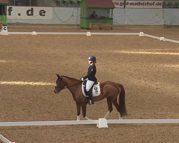 Reitturnier Kreuth 2025