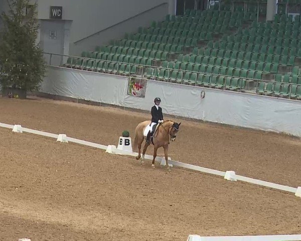 Reitturnier Kreuth 2025