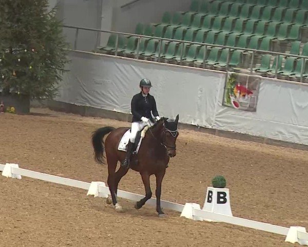 Reitturnier Kreuth 2025