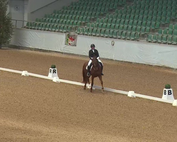 Reitturnier Kreuth 2025
