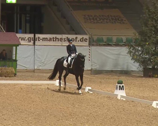 Reitturnier Kreuth 2025