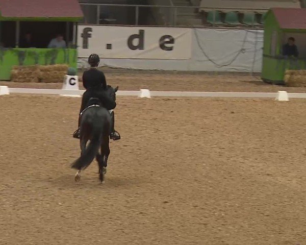 Reitturnier Kreuth 2025