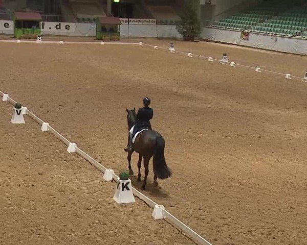Reitturnier Kreuth 2025