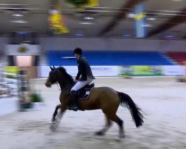 11. Hallen-Championat Vechta 2013