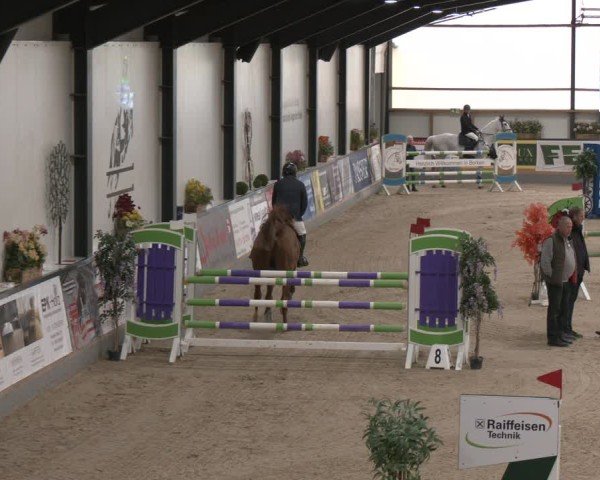 Reitturnier Borken (Hessen) 2025