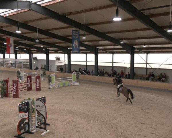 Reitturnier Borken (Hessen) 2025