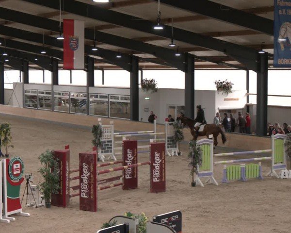 Reitturnier Borken (Hessen) 2025
