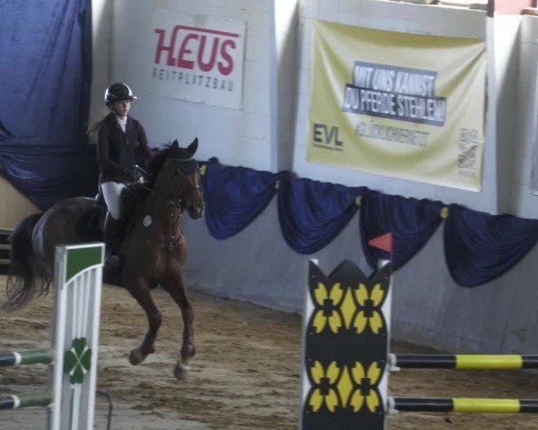 Reitturnier Diez 2025