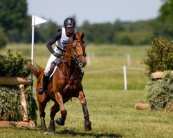 dressage horse Fighting Line (German Sport Horse, 2007, from Ostermond xx)