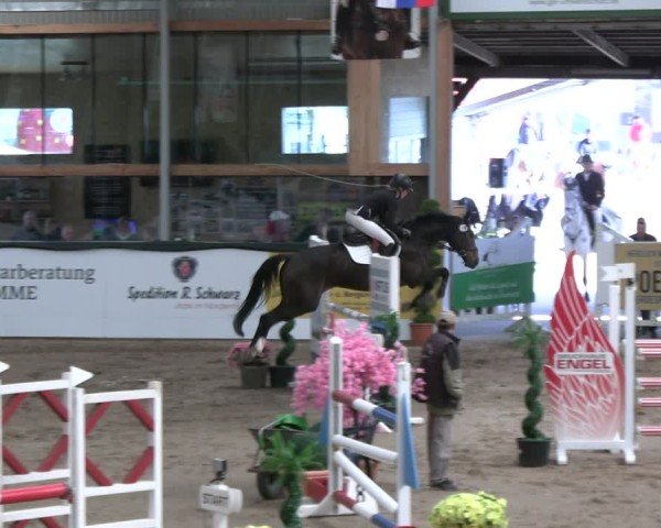 Reitturnier Timmendorf 2025