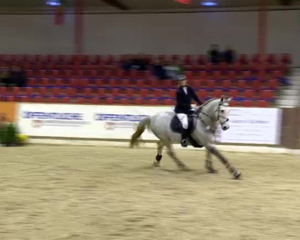 11. Hallen-Championat Vechta 2013