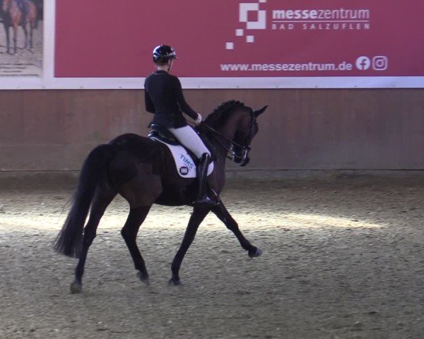 Reitturnier Bad Salzuflen 2025