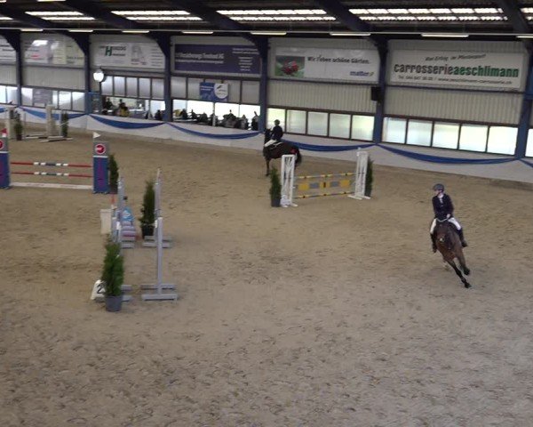 Reitturnier Buchs 2025