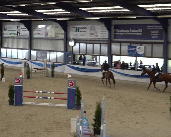 Reitturnier Buchs 2025