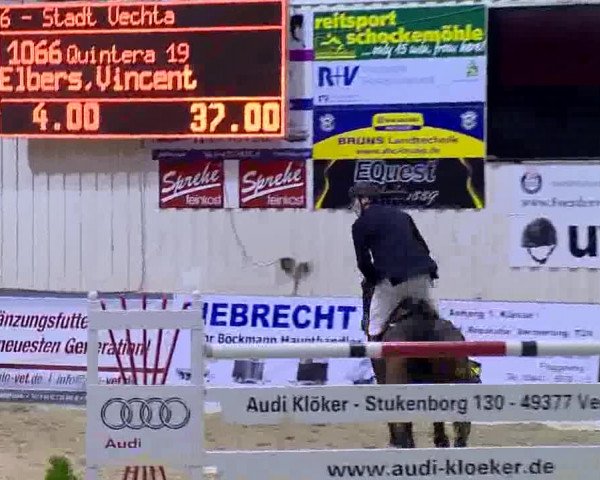 Reitturnier Vechta 2013
