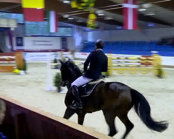 11. Hallen-Championat Vechta 2013